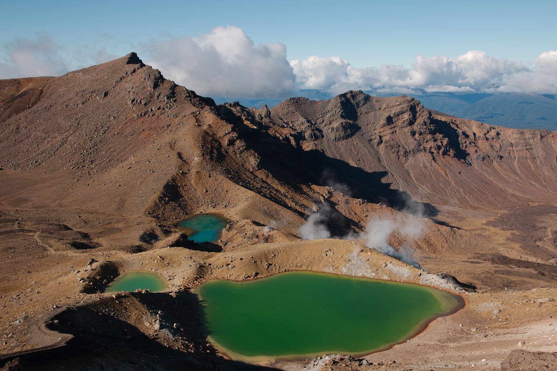 新西兰北岛 photo 2
